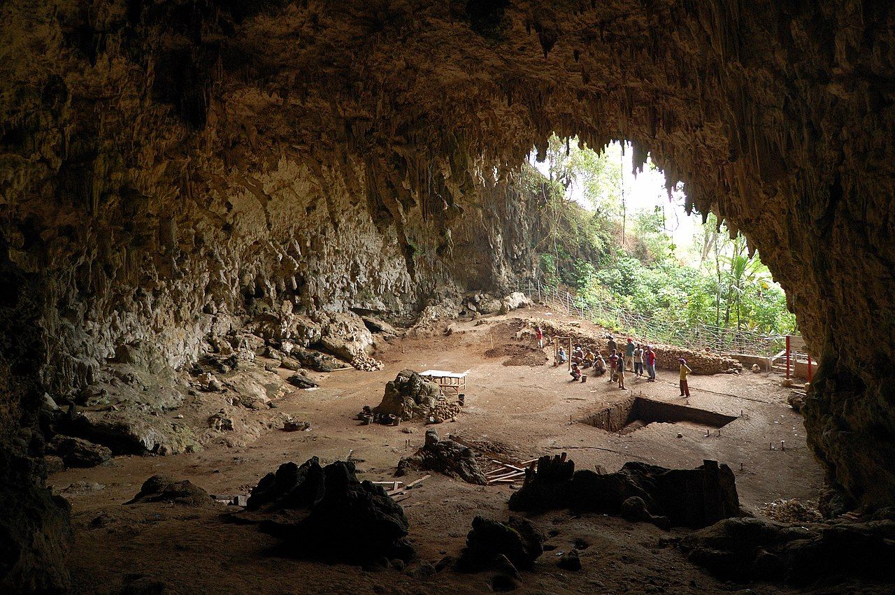 Tubuh Manusia Hobbit di Indonesia Ternyata Sangat Mungil